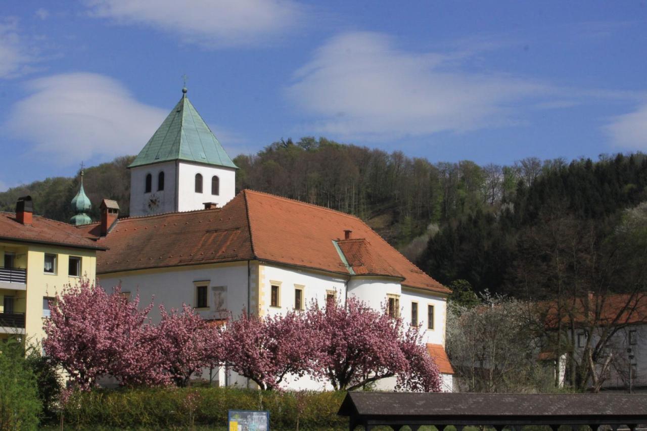 Отель Na Kopitarjevi Ласко Экстерьер фото